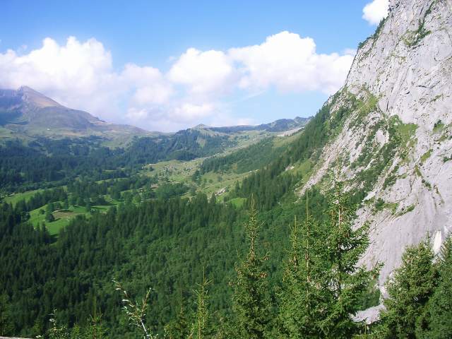 Image 21