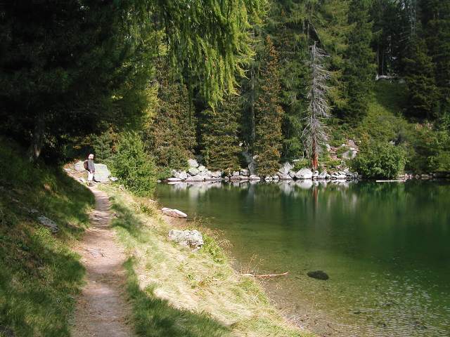 Image 29