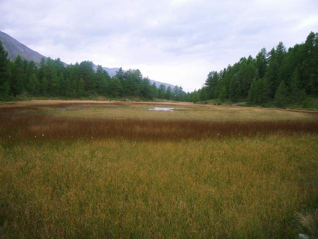 Image 36