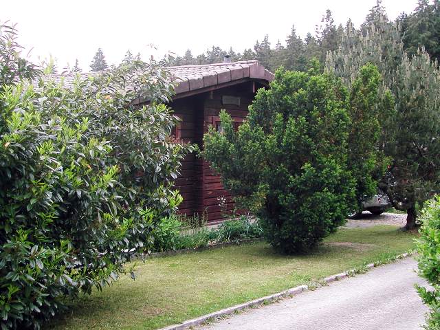Image 29