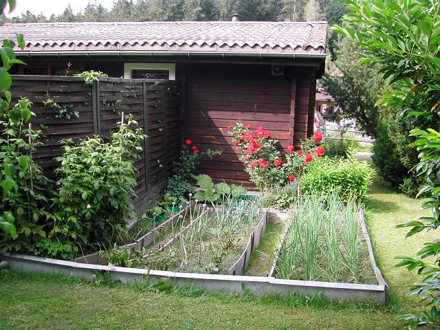 Image 30