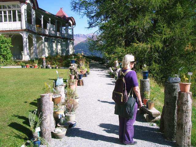 Image 14