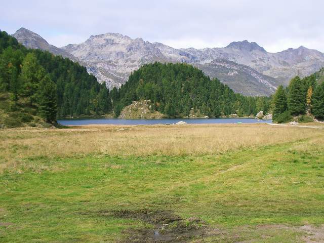 Image 25