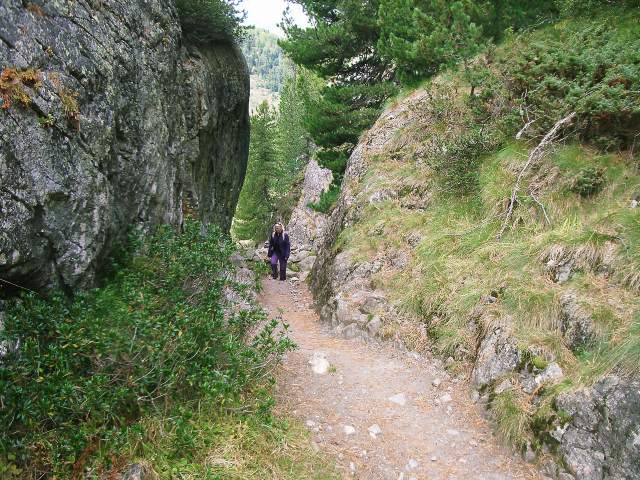 Image 26