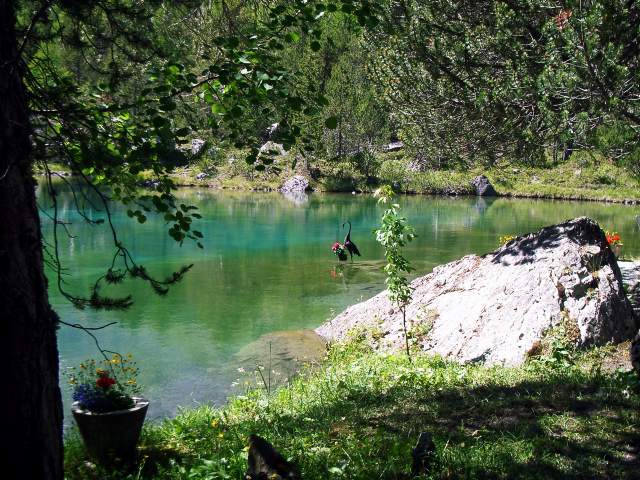 Image 6