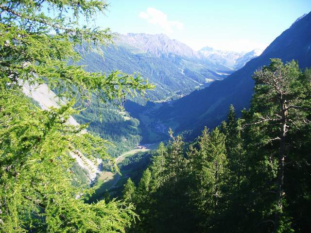 Image 9