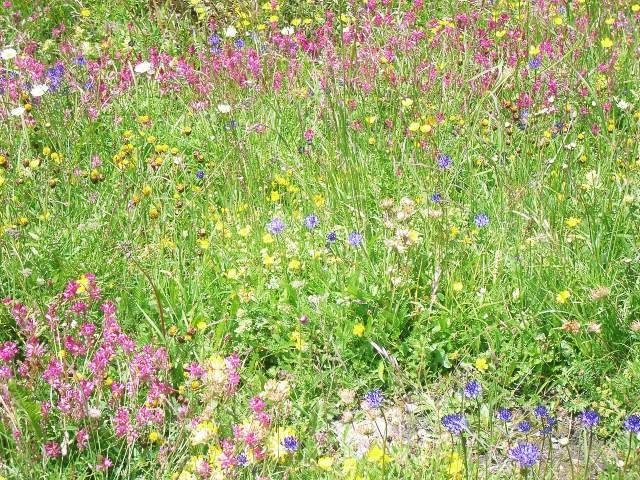 Image 14