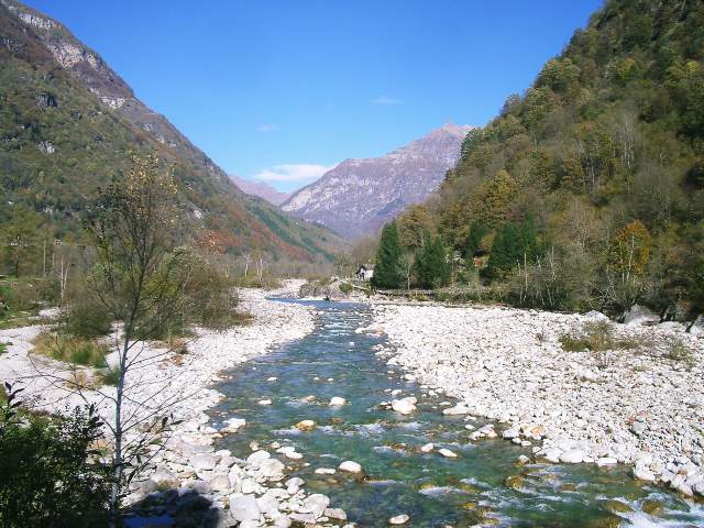 Image 19