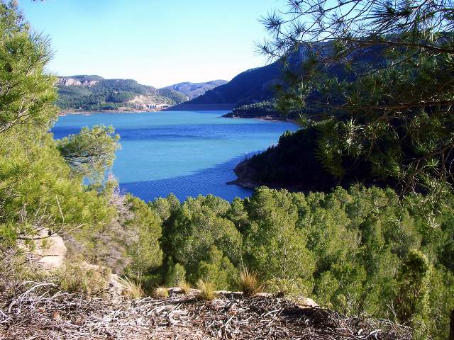 Image 11