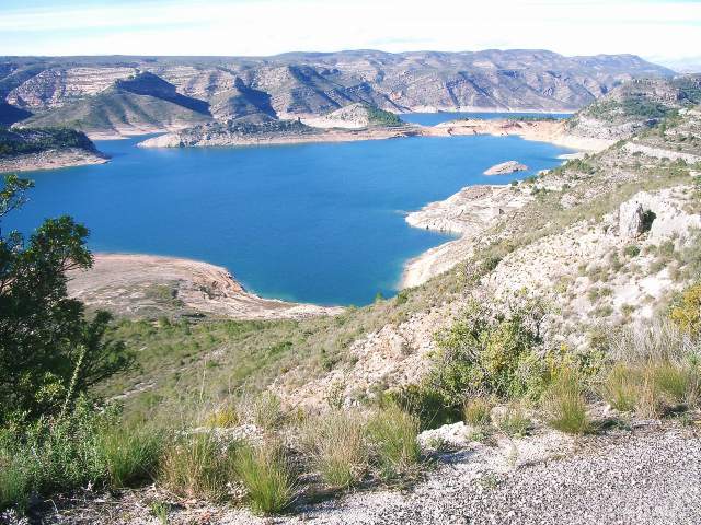 Image 12