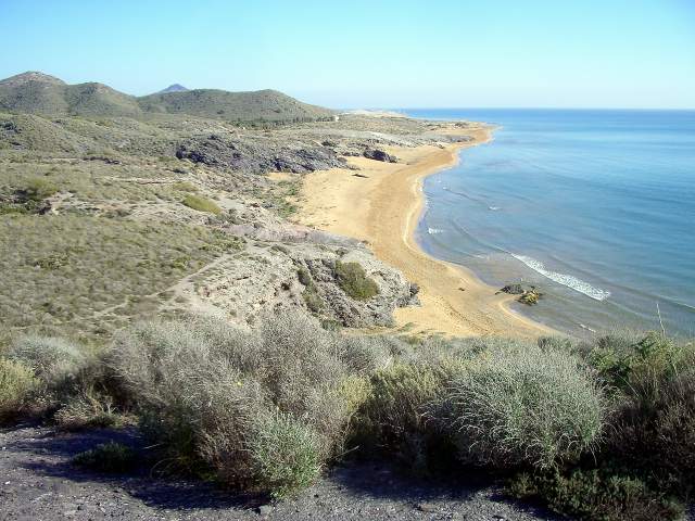 Image 19