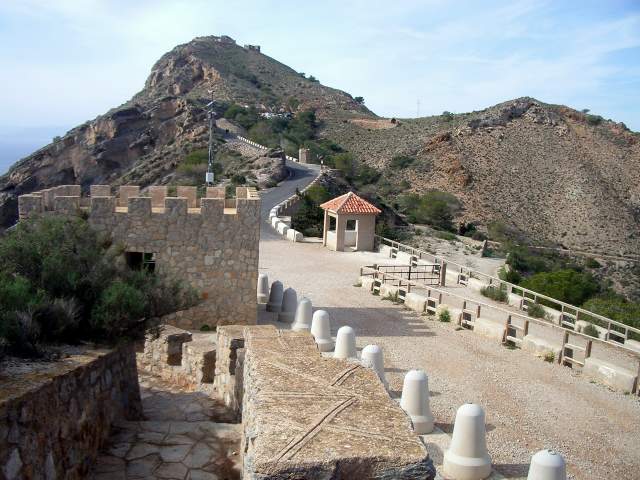 Image 23