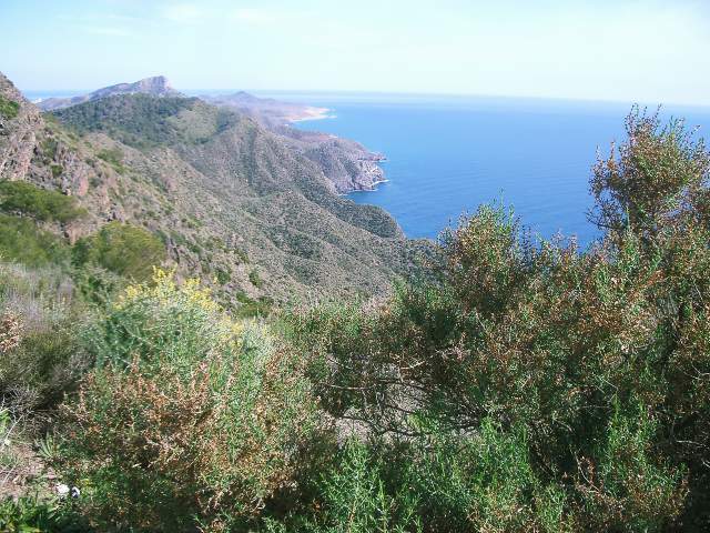 Image 24