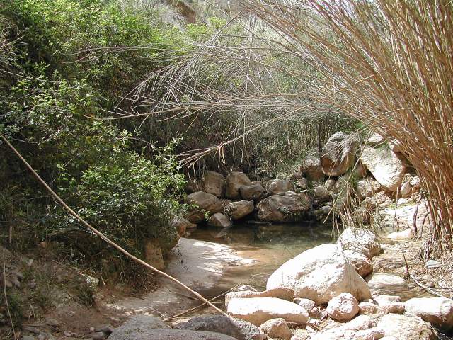 Image 31