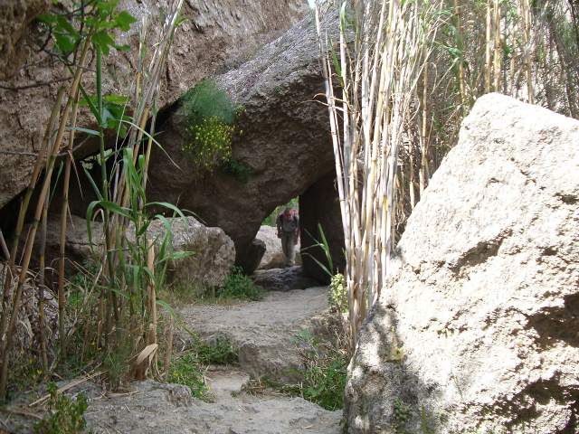 Image 32