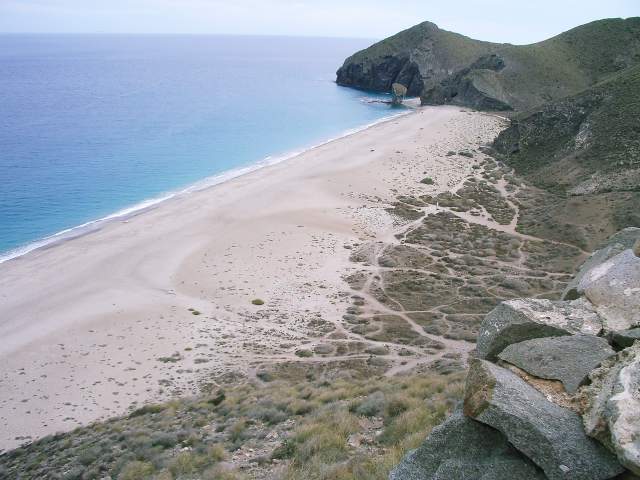 Image 35