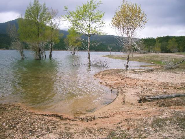 Image 12