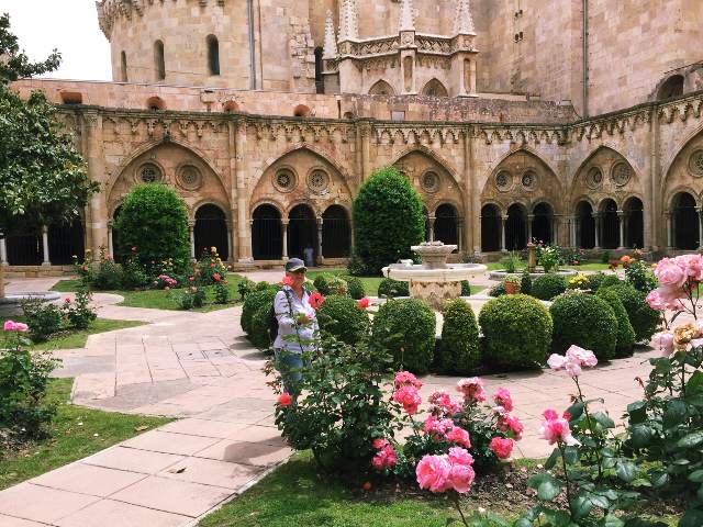 Image 22