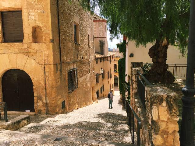 Image 24