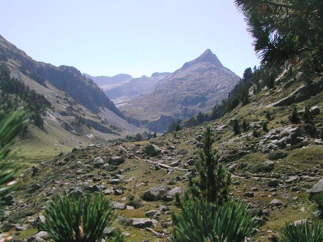 Image 13