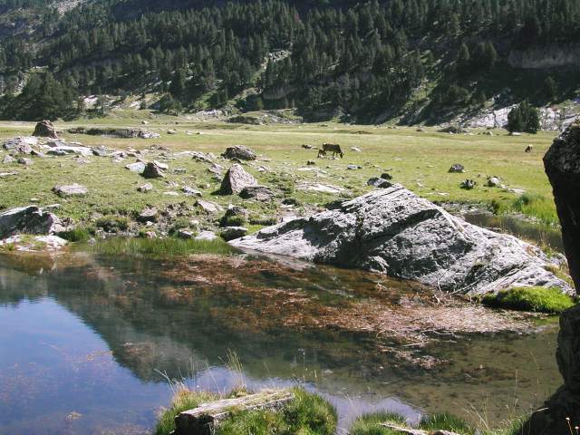 Image 21
