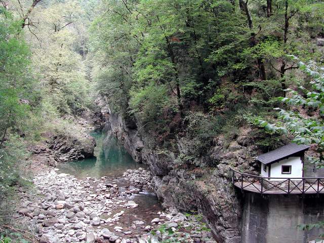 Image 24