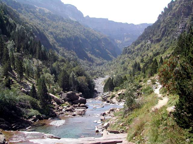 Image 32