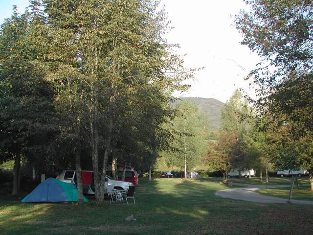 Image 40