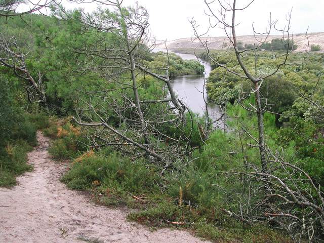 Image 73