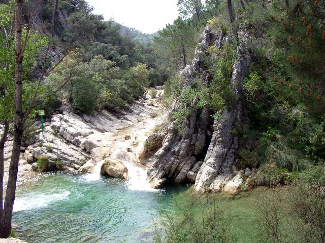 Image 9