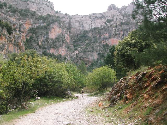 Image 12