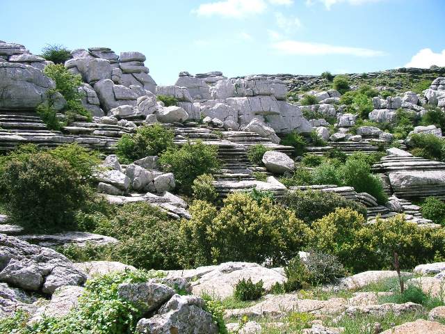 Image 29