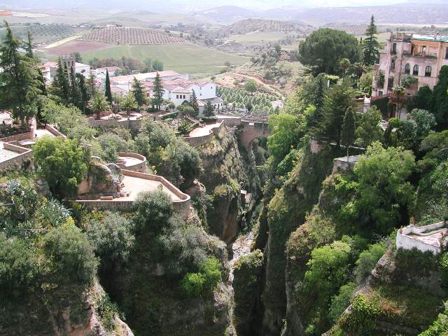 Image 35