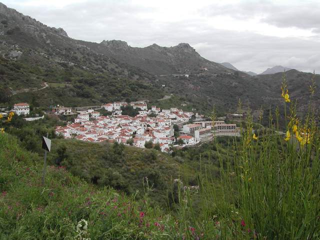 Image 38