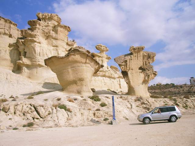 Image 13
