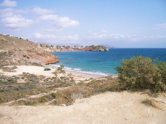 Image 14