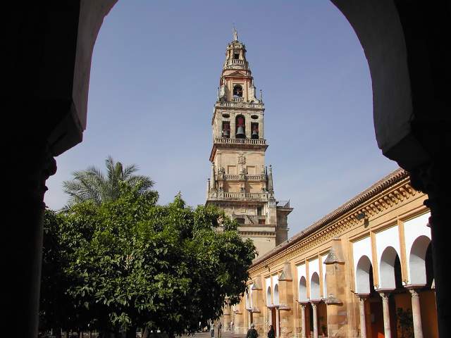 Image 4