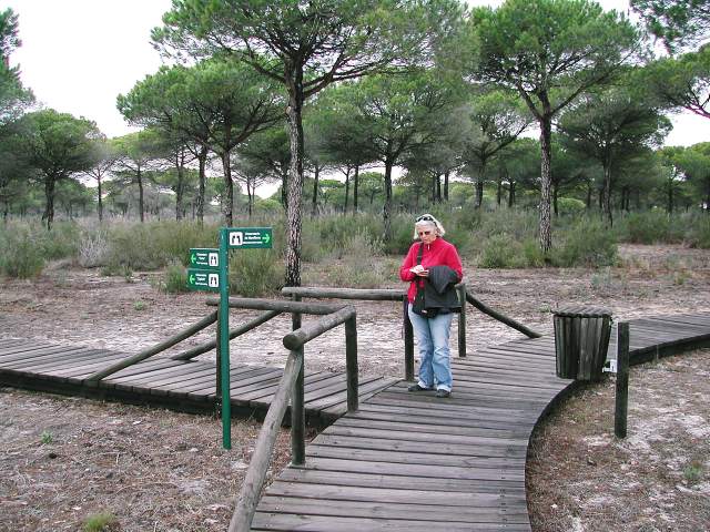 Image 9