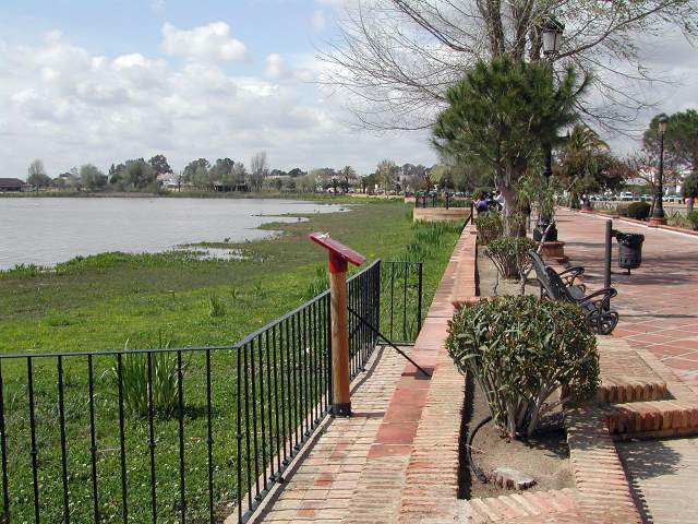 Image 10
