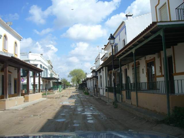 Image 15