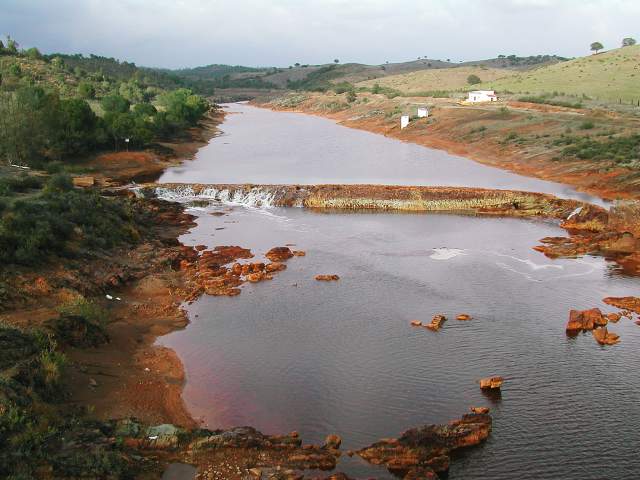 Image 17