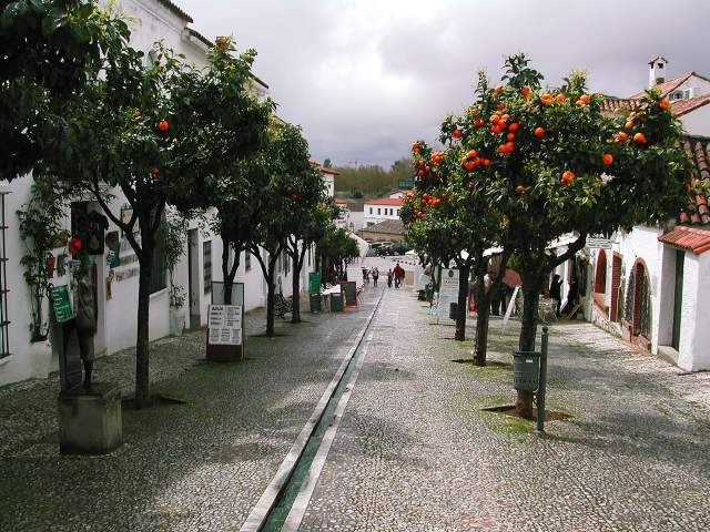 Image 18