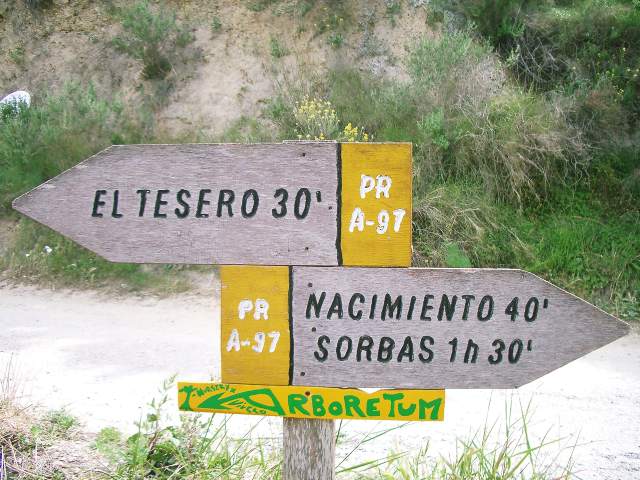 Image 25