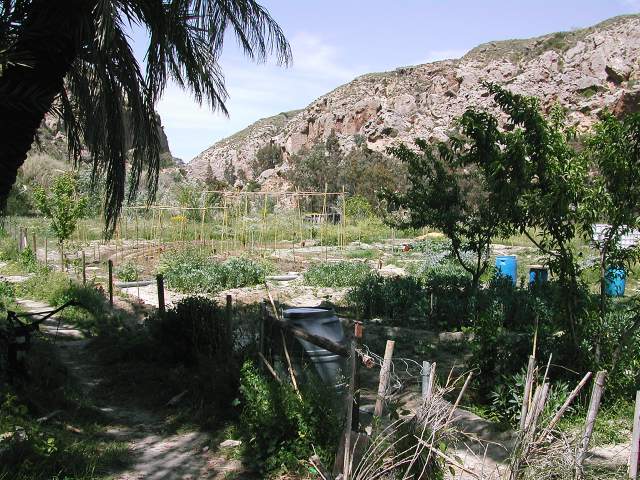 Image 26