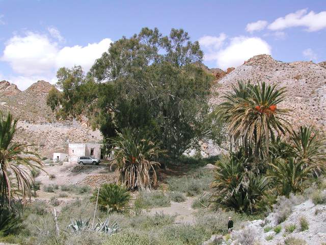 Image 36