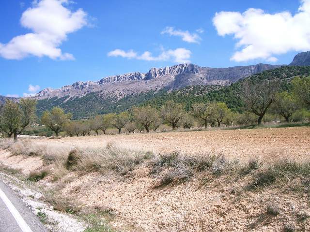 Image 50