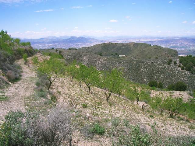 Image 51