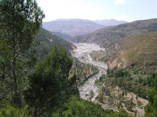 Image 63