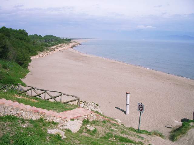 Image 18