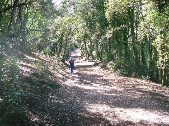 Image 30